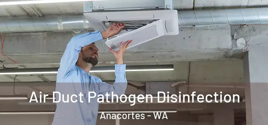  Air Duct Pathogen Disinfection Anacortes - WA