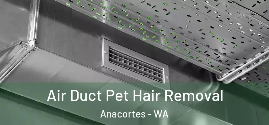 Air Duct Pet Hair Removal Anacortes - WA