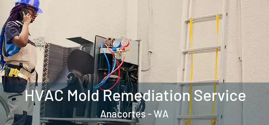 HVAC Mold Remediation Service Anacortes - WA