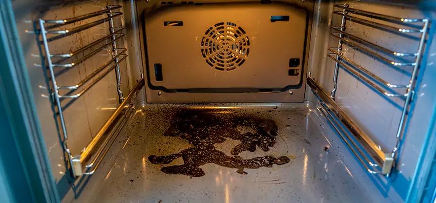 Our Dryer Vent Mold Cleaning Services in Anacortes, WA