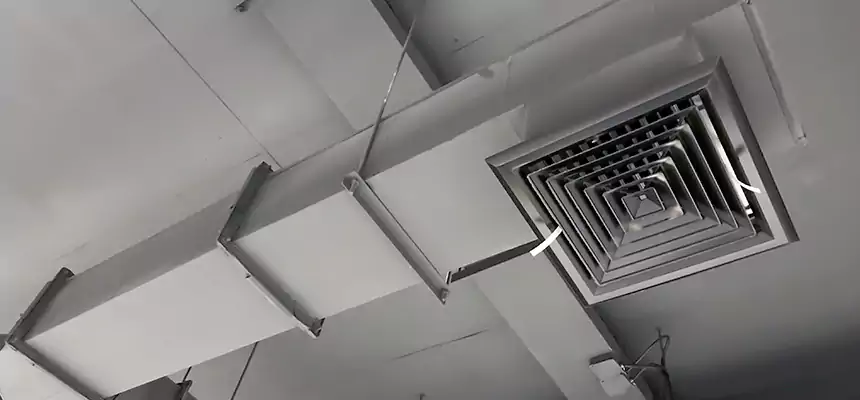 Our Rodent Droppings In Vents Services in Anacortes, WA