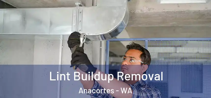 Lint Buildup Removal Anacortes - WA