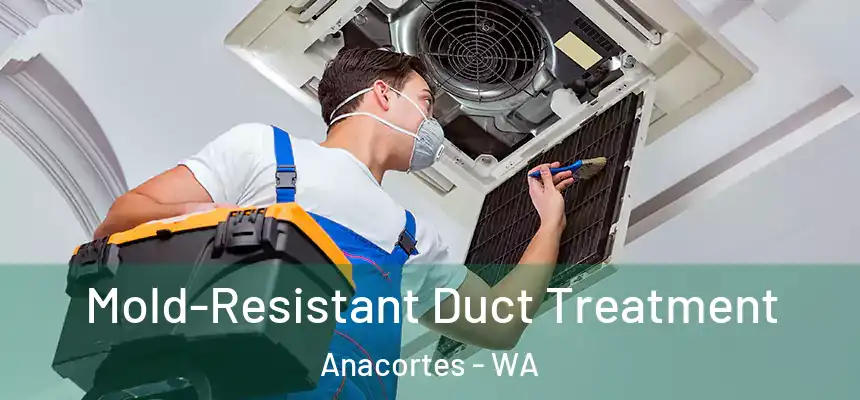 Mold-Resistant Duct Treatment Anacortes - WA