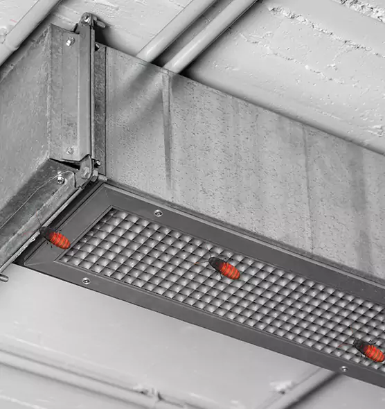About Air Duct Cockroach Removal in Anacortes, WA