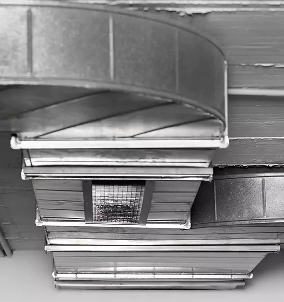 Professional Air Duct Pet Hair Removal in Anacortes, WA