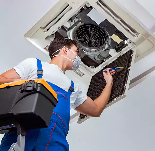 Why Homeowners & Businesses Trust Us in Anacortes, WA