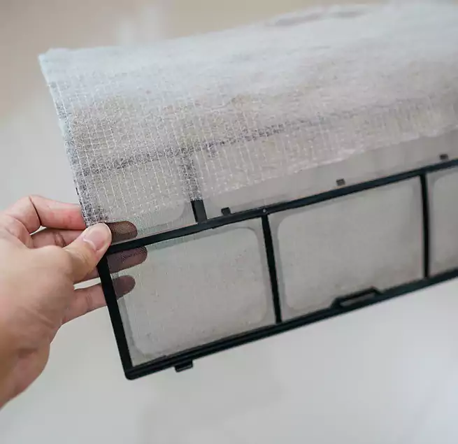 Why Homeowners & Businesses Trust Us in Anacortes, WA?