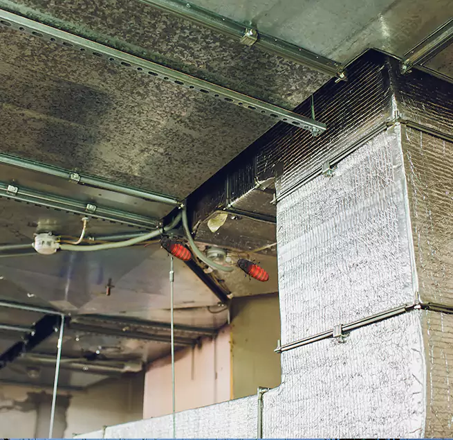 Why Homeowners & Businesses Trust Us Anacortes, WA?