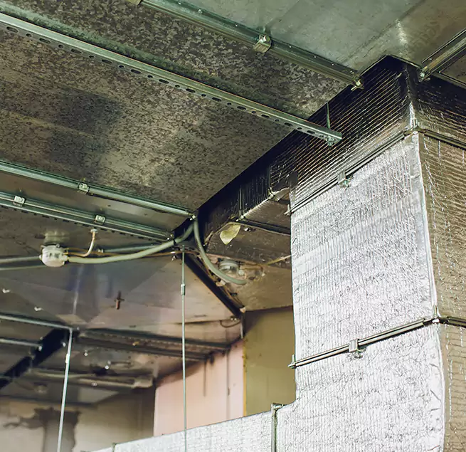 Why Homeowners & Businesses Trust Us in Anacortes, WA?