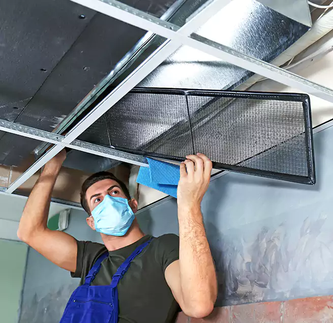 Why Homeowners Businesses Trust Us in Anacortes, WA